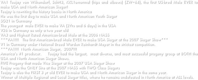 VA1 Teejay von Wilhendorf, SchH3, KKL1a-normal (hips and elbows) (ZW=64), the first US-bred Male EVER to make USA and North American Sieger! 
Teejay is rewriting the history books in North America
He was the first dog to make USA and North American Youth Sieger
SG21 in Germany
The youngest  male EVER to make VA (2Yrs and 6 days) in the USA
V26 in Germany as only a two year old
VA3 and Highest Rated American-bred Male at the 2006 NASS
***VA1!!!   The first American-bred Male EVER to make USA Sieger at the 2007 Sieger Show***
V1 in Germany under National Breed Warden Reinhardt Meyer in the strictest competition.
***VA1!!!  North American Sieger,  2007!!!   
America’s #1 producer.    Teejay had the largest,  most diverse, and most successful progeny group at BOTH the USA and North American Sieger Shows.   
FIVE Progeny that made Vice Sieger at the 2007 USA Sieger Show
Teejay was the ONLY Sire at the 2007 NASS with TWO Class Siegers
Teejay is also the FIRST 3 yr old EVER to make USA and North American Sieger in the same year.   
Winner of Multiple Regional and Local Sieger titles, where he remains undefeated in North America at ALL levels.  