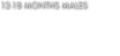 12-18 months males
Youth Sieger SG1 Danny von Wilhendorf (Teejay - Reggae)

SG3 Fargo Wilhendorf (Teejay - Nana kaufungerwald) 
